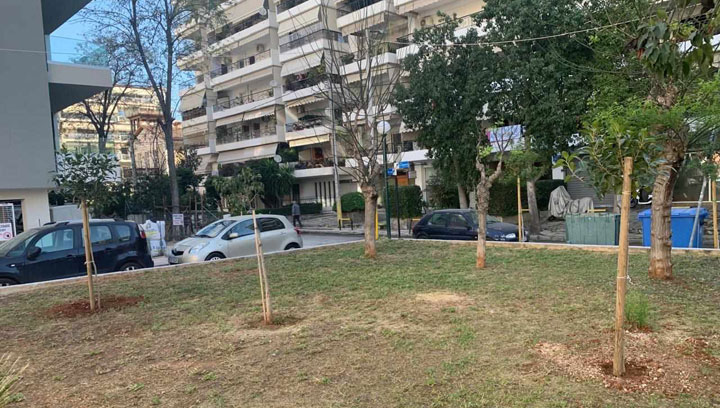 Νέες δενδροφυτεύσεις και αναπλάσεις πρασίνου  στην πόλη από τον Δήμο Πειραιά
