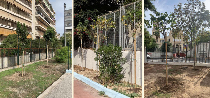 Νέες δενδροφυτεύσεις  σε σχολεία της πόλης από τον  Δήμο Πειραιά